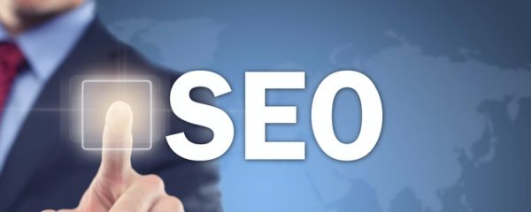 Professionnels du SEO