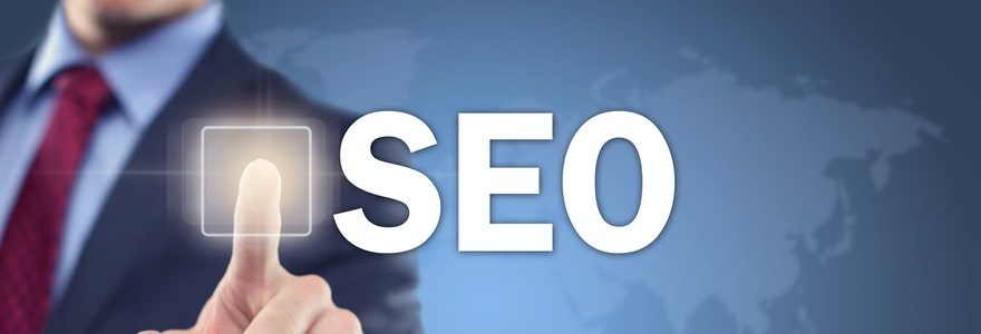 Professionnels du SEO